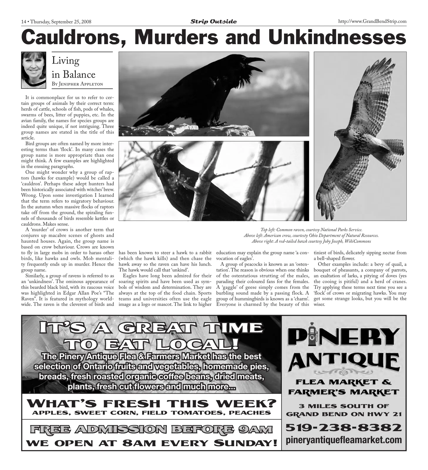 Volume 2, Number 11, page 14 of 16