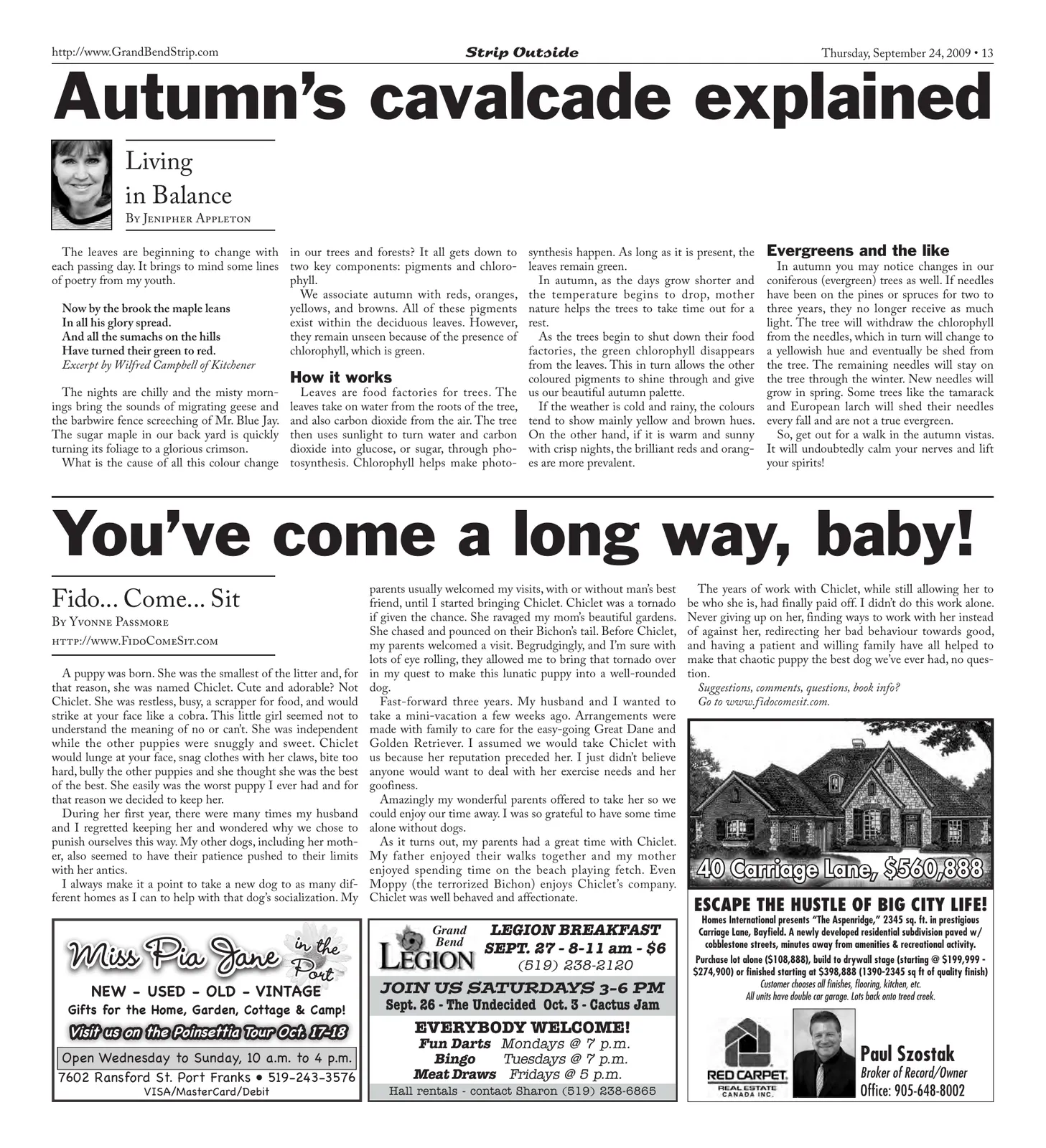 Volume 3, Number 8, page 13 of 16