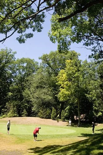 Oakwood’s #8 has a hole lower than the hill, so longer pins were needed for golfers to see it